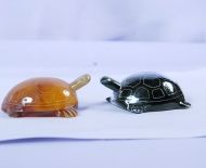 Động Vật Sừng 13