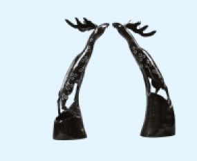 Động Vật Sừng 2