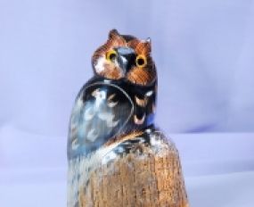 Động Vật Sừng 5