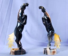 Động Vật Sừng 23