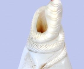 Động Vật Sừng 73