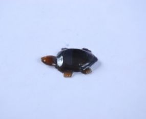 Gác Đũa Sừng 36