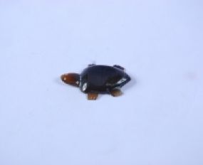 Gác Đũa Sừng 37