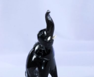 Động Vật Sừng 10