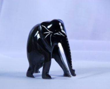 Động Vật Sừng 11