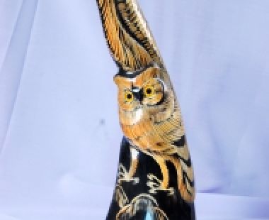 Động Vật Sừng 12