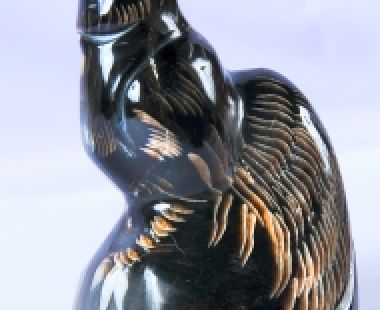 Động Vật Sừng 51