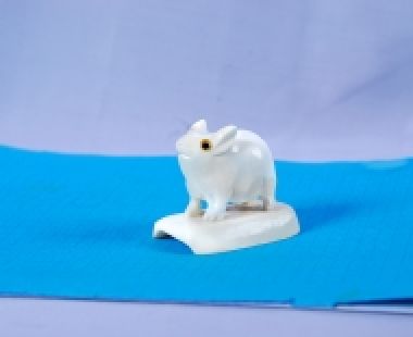 Động Vật Sừng 63