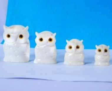 Động Vật Sừng 68